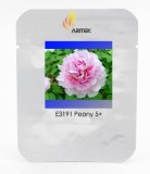 Very Rare 'Fen Zhong Guan' Pink Pretty Perennial Peony Flower Seeds, Professional Pack, 5 Seeds / Pack, Light Fragrant Flower