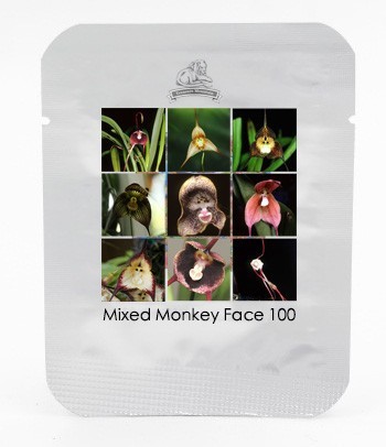 9 Types Perennial Dracula Simia Monkey Face Flower Seeds, 1 Professional Pack, 100 Seeds / Pack, Rare Orchid Seeds #NF566