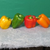 Heirloom Mixed Yellow Green Red Orange Sweet Bell Pepper Organic Seeds, Professional Pack, 50 Seeds / Pack, Organic Vegetables