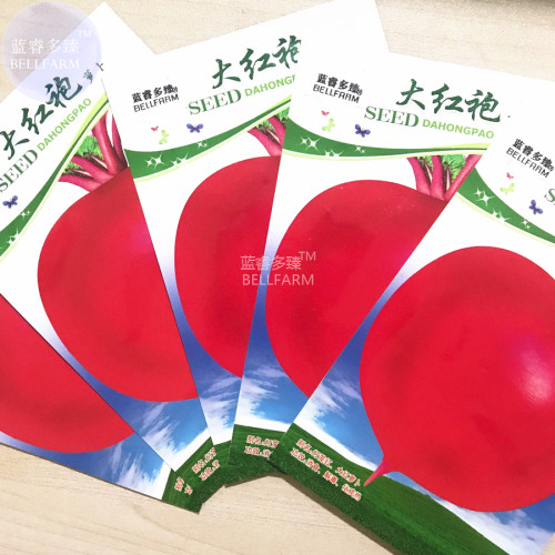 BELLFARM Red Radish 'Da Hongpao' Round Organic Vegetable Seeds, 5 packs, 80 seeds/pack, delicious big red vegetables