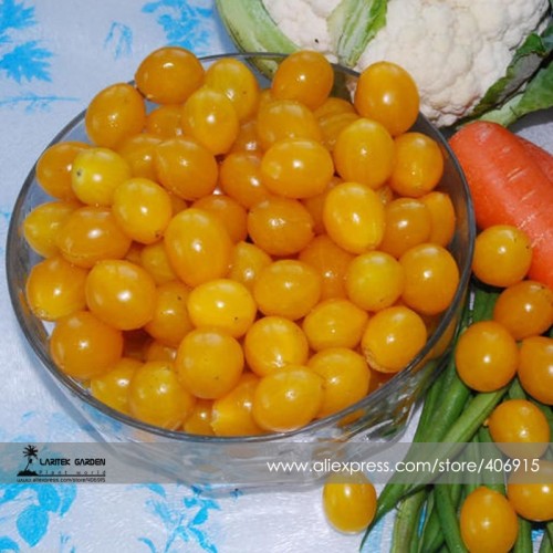 Trusses Ildi Yellow Cherry Tomato Seeds, Professional Pack, 100 Seeds / Pack, Carry Up to 80 Tasty Pear Shaped Fruit E3375