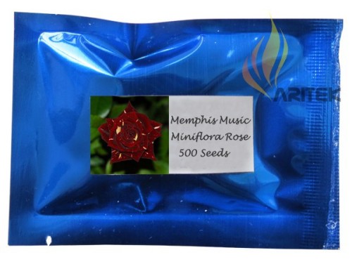 1 Professional pack, 500 seeds / pack,  MEMPHIS MUSIC MINIFLORA ROSE,  ROSE BUSH DEEP RED WHITE