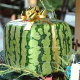 Big Red Sweet Square Watermelon Heirloom Seeds, Professional Pack, 50 Seeds / Pack, 15% Sugar Juicy Foursquare Water Melon