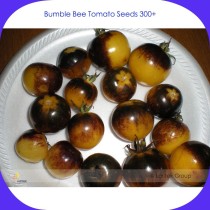 Very Rare Bumble Bee Heirloom Tomato Seeds, Professional Pack, 300 Seeds / Pack, Low Acid Tomato #LG00013
