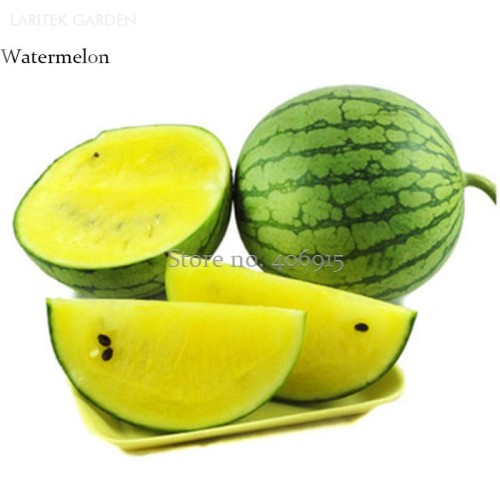 Us 0 72 Rare Mixed Purple Yellow Red White Blue Watermelon Fruits Seeds Juicy Flesh Sweet And Delicious Edible Fruits 687 M Deargogo Com Us 0 72 Rare Mixed Purple Yellow Red White Blue Watermelon Fruits Seeds Juicy Flesh Sweet And Delicious Edible Fruits 687 M Deargogo Com