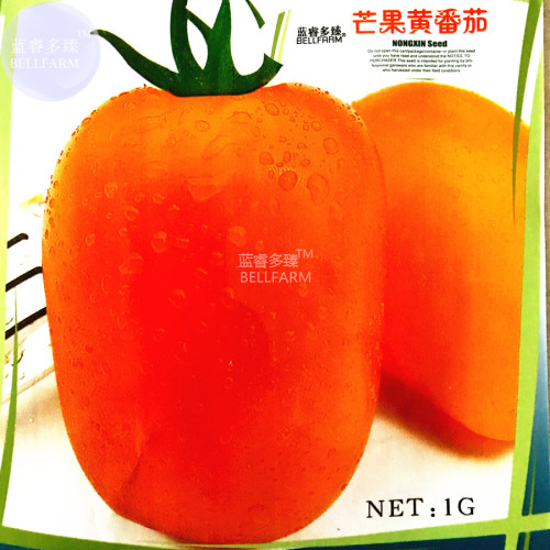 BELLFARM Tomato 'mango' Orange Fruit Vegetable Seeds, 100 seeds, original pack, indeterminate sweet beauty fruits