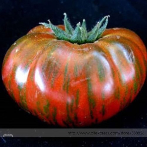 Heirloom Big Chocolate Stripes Tomato Hybrid Seeds, Professional Pack, 100 Seeds / Pack, A Beautiful Variety Flavor Huge Fruits