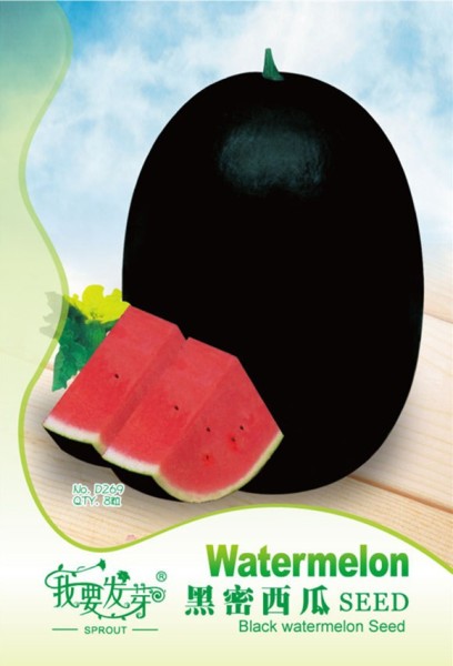 Long Big Black Skin Pink Watermelon Fruit Seeds, Original Pack, 8 Seeds / Pack, Very Sweet Easy to Grow #TS054
