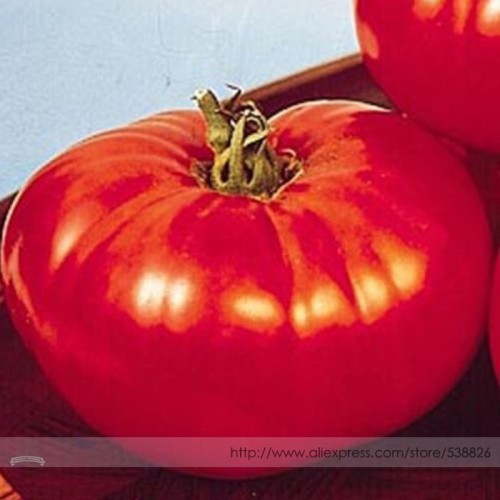 Heirloom Big Beef Tomato Seeds, Professional Pack, 100 Seeds / Pack, Early Large Fruits High Yields Disease Resistance #TS019
