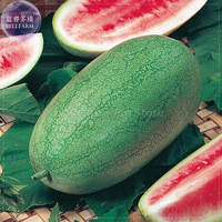 Charleston Grey Giant Long Watermelon Seeds, 20 Seeds, Professional Pack, gray-green fruit grow to 20-40 lbs fiber-free E4095