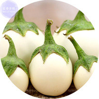 BELLFARM Lao White Eggplant Seeds, Professional Pack, 200 Seeds, Hybrid tasty interesting edible eggplant E4166
