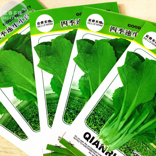 BELLFARM Green Chinese Vegetables Seeds, 5 packs, 2000 seeds/pack, fast growing little cabbage bok-choy pak choi