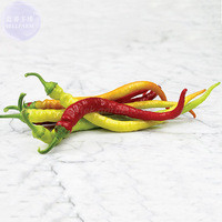 BELLFARM Sweet Pepper Corbaci - Turkish Heirloom Seeds, 50 Seeds, Professional Pack, organic tasty vegetables E4184