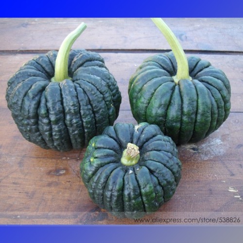 Heirloom Black Futsu Squash Vegetable Organic Seeds, Professional Pack, 10 Seeds / Pack, Flavourful Pumpkin Rare Seeds #NF708