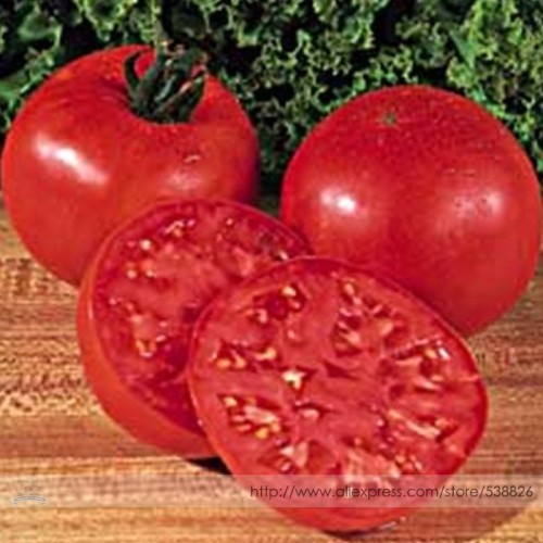 Rare Burpee's Big Boy Tomato Hybrid Seeds, Professional Pack, 100 Seeds / Pack, Juicy Sweet Edible Fruit #TS018