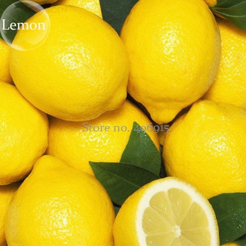 Rare Outdoor Organic Yellow Big Lemon Tree, 20 Seeds, healthy nutrition edible fruits E3638