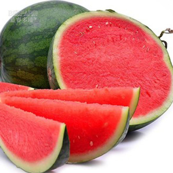 BELLFARM Watermelon Seedless Pinkish Red Melon Seeds, 20 Seeds, Professional Pack, 15% sugar contained high yield E4250