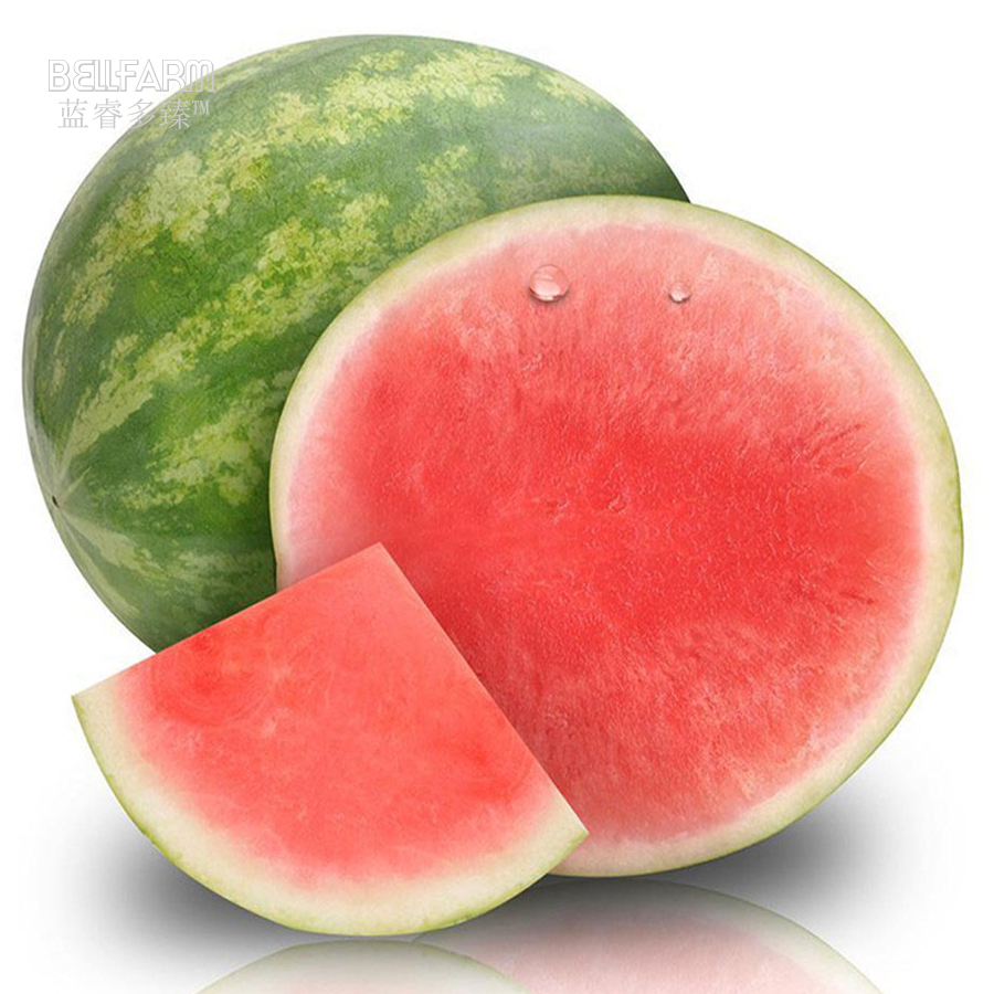 Heirloom 'Huang Pi Qiu' Yellow Skin Red Seedless Watermelon 20PCS Seeds 