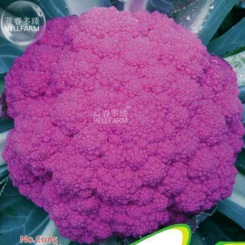 BELLFARM Chinese Broccoli Green Purple White Cauliflower Bonsai Vegetables, 20pcs 'Seeds'/original pack Brokkoli Home Garden