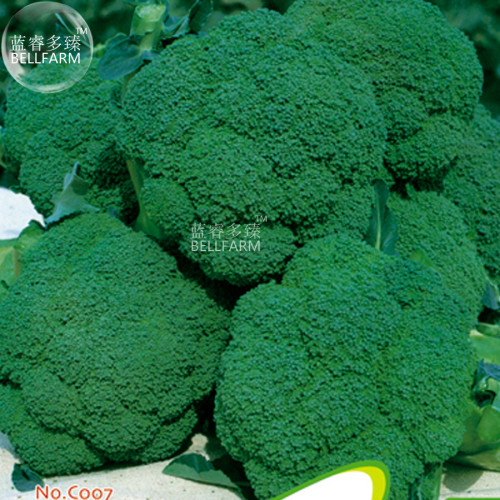 BELLFARM Chinese Broccoli Green Purple White Cauliflower Bonsai Vegetables, 20pcs 'Seeds'/original pack Brokkoli Home Garden