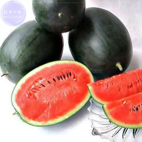 BELLFARM Black Skin Long Red Watermelon Seeds, 30 Seeds, Professional Pack, 13% sugar contained juicy organic seeds E4205