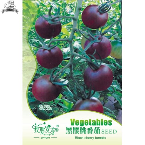 'Xi Hua' Heirloom New Black Cherry Tomato Hybrid Seeds, Original Pack, 30 Seeds / Pack, Safety Tasty Fruit