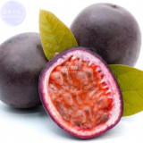 BELLFARM Passion Fruit Passiflora edulis Fruit Seeds, 20 seeds, professional pack, tasty sweet juicy edible home garden supply
