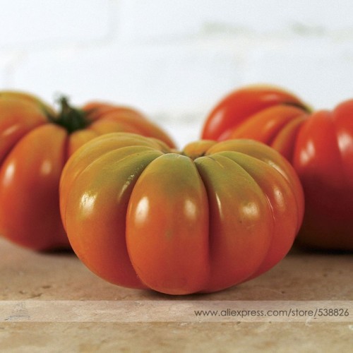 New Genuwine Hybrid Tomato Seeds, Professional Pack, 100 Seeds / Pack, Aroma of Heirloom Tomatoes #NF728