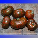 Heirloom Big Chocolate Stripes Tomato Hybrid Seeds, Professional Pack, 100 Seeds / Pack, A Beautiful Variety Flavor Huge Fruits