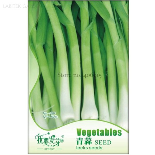 Heirloom Chinese Green Leek Vegetables, Original Pack, 50 Seeds / Pack, organic  late summer / autumn harvesting IWSC002