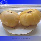 Rare Belyy Giant White Beefsteak Tomato Seeds, Professional Pack, 100 Seeds / Pack, Edible Tasty Fruits