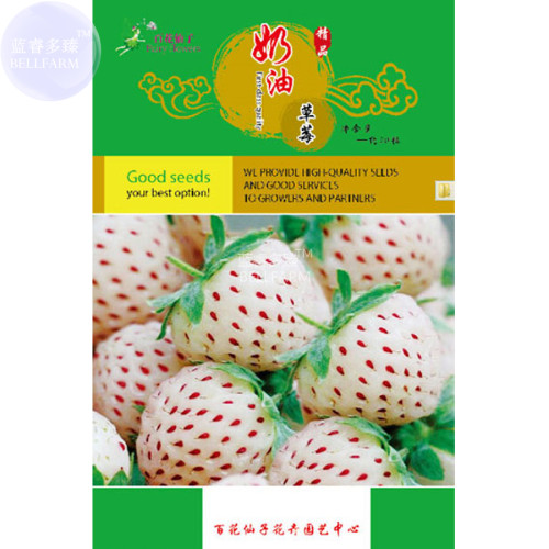 BELLFARM Strawberry Cream White Sweet Fruit Seeds, 20 seeds, original pack, organic tasty home garden berry plants