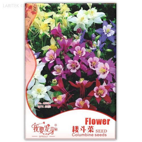 Mixed Garden Columbine Perennial Aquilegia Flowers, Original Pack, 50 Seeds, very beautiful garden flowers IWSB128