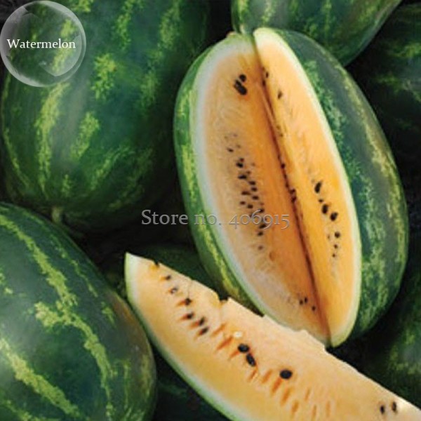 Orange Tendersweet Watermelon, 20 Seeds,  luscious, bright orange flesh excellent taste crisp texture ip To 35 lbs E3871