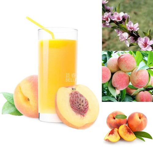 BELLFARM Sweet Prunus Persica Dwarf Peach Tree Fruit Seeds, 5 seeds, professional pack, yellow inside red skin home garden plant