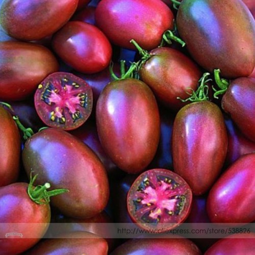 Ukrainian Purple Tomato Seeds, Professional Pack, 100 Seeds / Pack, Great Sweet Meaty Plum Shaped 3-4'' Long #TS025