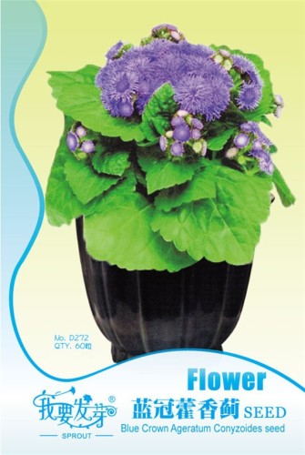 Blue Ageratum Conyzoides Bonsai Herbal Flower Seeds, Original Pack, 60 Seeds / Pack