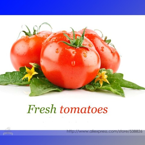 'Water Yu' Pink Tomato Seeds, Professional Pack, 100 Seeds / Pack, Very Tasty Tomato