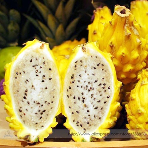 Heirloom Yellow Dragon Fruit Hybrid Pitaya Seeds, Professional Pack, 50 Seeds / Pack, Contains Rich Nutrition Safety For Body