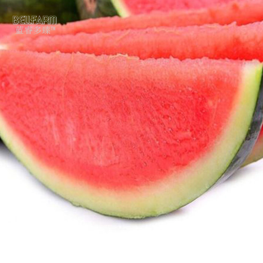 Арбузный цвет. Арбуз саги f1. Seedless Watermelon. Арбуз super Luxe Watermelon. Цвет арбузной мякоти.