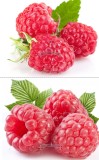 1 Professional Pack Pack, 80 seeds / pack, Perennial Raspberry Fruits, Feral Rubus Idaeus Bush Fruit Seeds