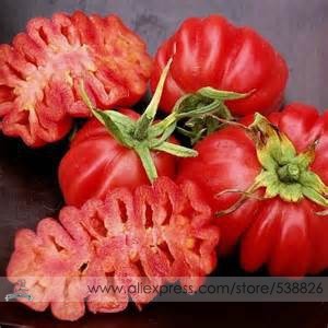 Rare Zapotec Ruffled Tomato Organic Seeds, Professional Pack, 100 Seeds / Pack, Sweet Flavor Scalloped Slices Drought Tolerant
