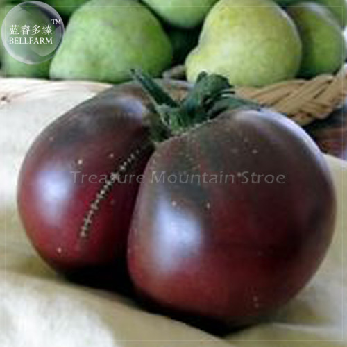 Black Elephant Tomato Seeds, 100 seeds, professional pack, organic big sweet tomato TS383T
