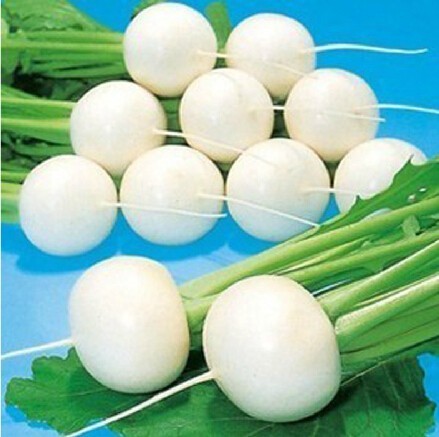 1 Original Pack, 3g Seeds / Pack, White Cherry Belle Radish Chinese Organic Vegetable Seed #NF376