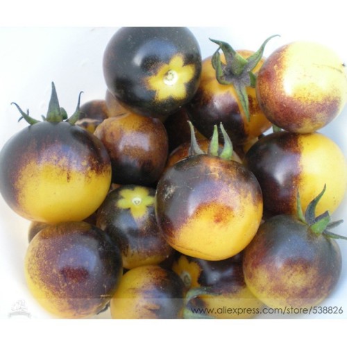 Very Rare Bumble Bee Heirloom Tomato Seeds, Professional Pack, 100 Seeds / Pack, Low Acid Organic Tomato 100% Tree Seeds #NF571