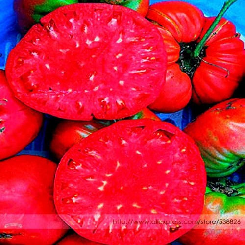Germany Rose Red Corrugated Sweet Big Tomato Hybrid Seeds, Professional Pack, 100 Seeds / Pack, Juicy Fruit #TS010