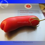 Rare Auria Adam Tomato Hybrid Seeds, Professional Pack, 100 Seeds / Pack, Tasty Sweet Fruits