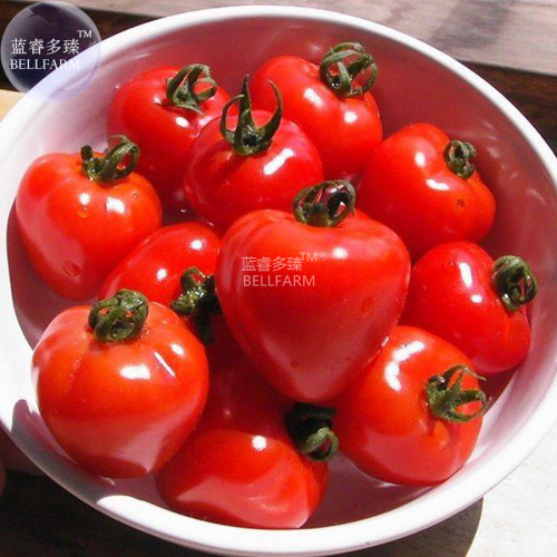 BELLFARM Heirloom Bright Red Strawberry-shaped Tomato Seeds, 100 seeds, professional pack, indeterminate growth