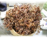 1 Professional Pack, 100 Seeds / Pack, Rare Japanese Raisin Tree Seeds, Hovenia Dulcis
