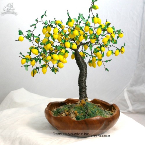 Us 10 Heirloom Yellow Orange Mixed Lemon Kaikii Bonsai Seeds Professional Pack 100 Seeds Pack Edible Lemon Tree M Deargogo Com
